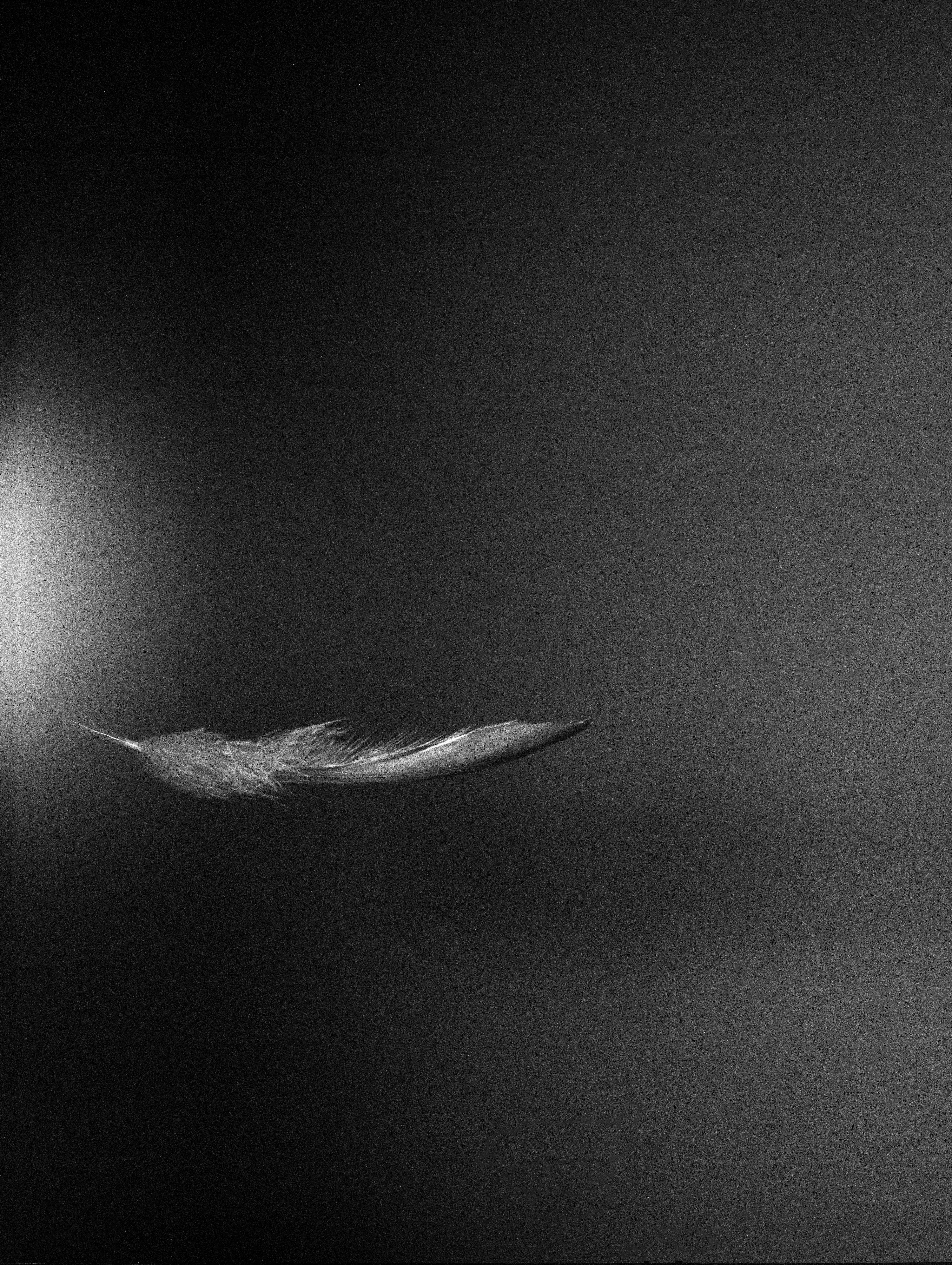 04-1_Free Fall (By Chance)