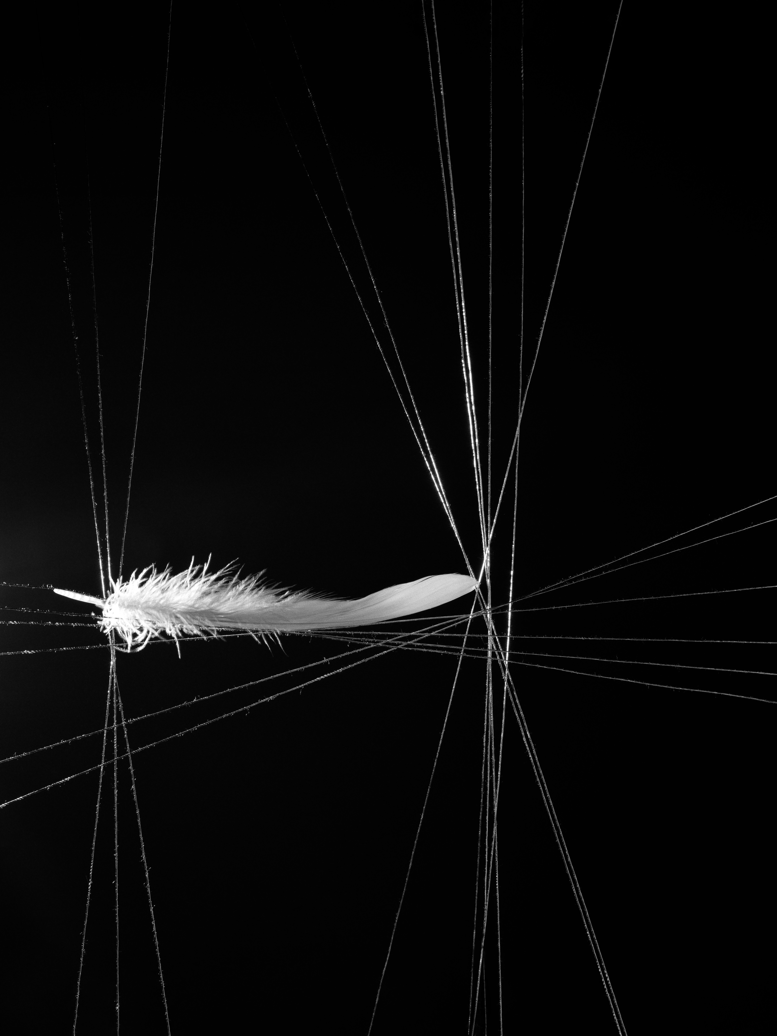 04-2_Free Fall (By Force)